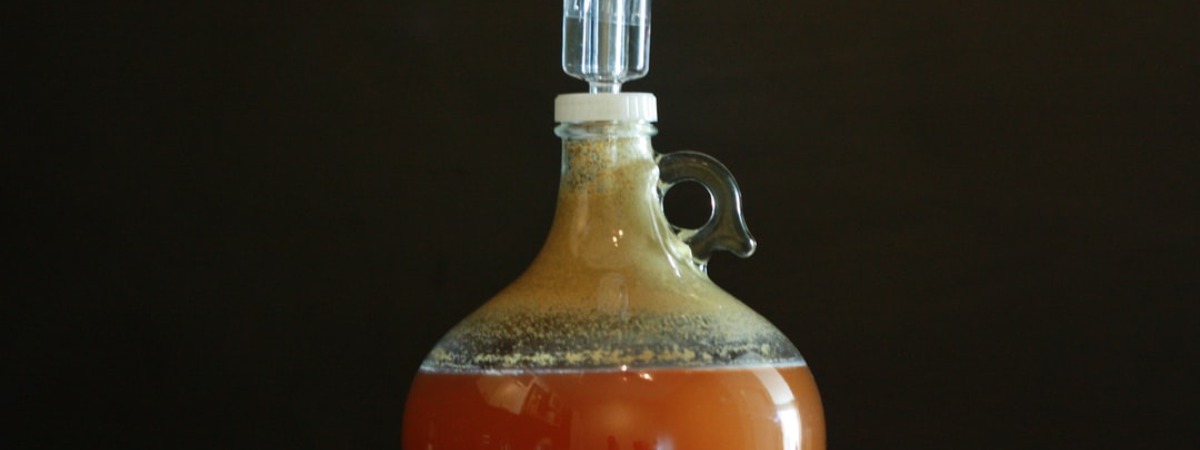 Hydrometer For Homebrewing